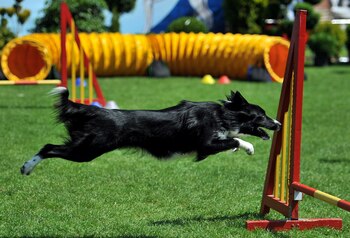 En Puebla una señora arrastró
