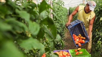 El gobierno impulsa ampliación de