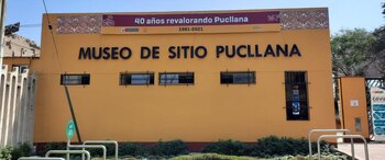 Revisa las actividades gratis de