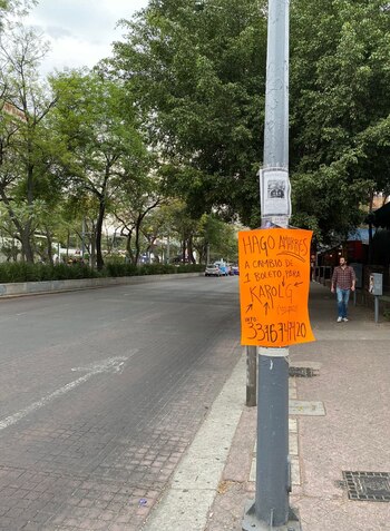 (Captura de pantalla/X/@ticketelhamster)