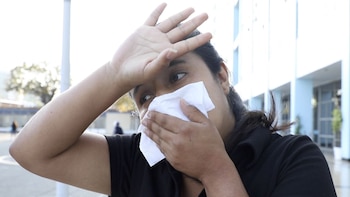 Los compuestos activos de la