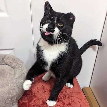 Las cuidadoras del animal destacaron