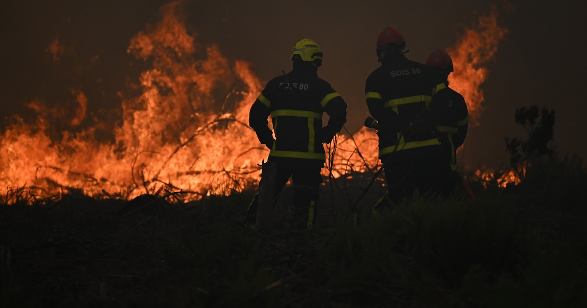 El fuego llegó a 15 kilómetros de Burdeos y obligó a huir a un cuarto de millón de personas