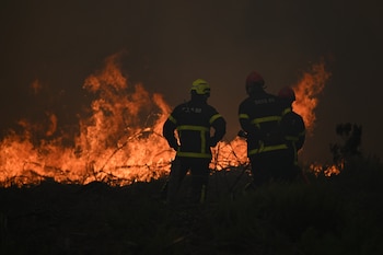 Bomberos rocían agua en un incendio forestal cerca de Lacanau, en el suroeste de Francia, el sábado 25 de julio de 2026
(AP Foto/Emma Da Silva)
