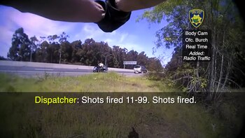 En las imágenes se puede