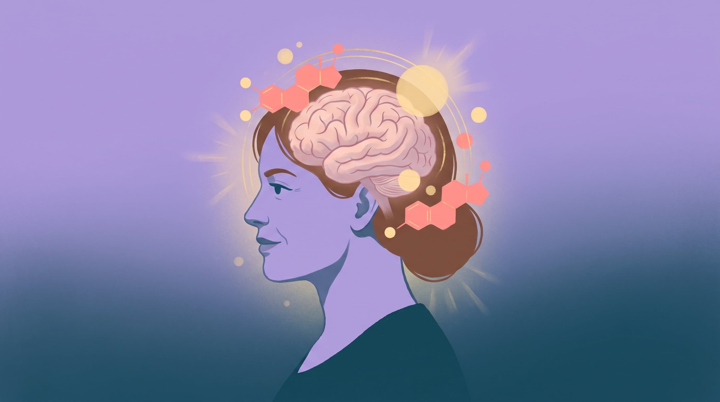 Una ilustración vincula la presencia de moléculas de estrógeno con la salud del cerebro en la mujer. (Imagen Ilustrativa Infobae)