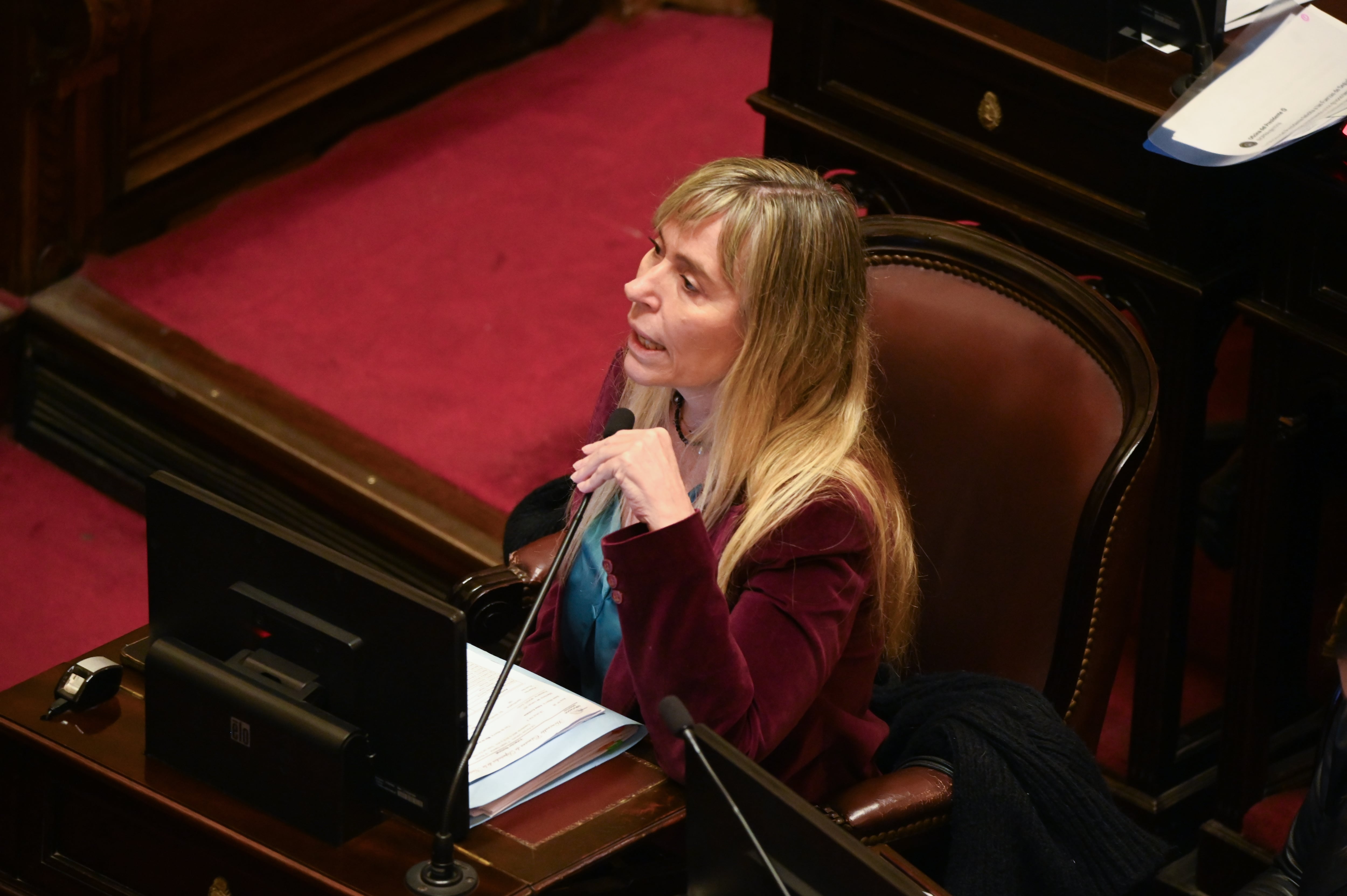 Juliana Di Tulio, senadora peronista