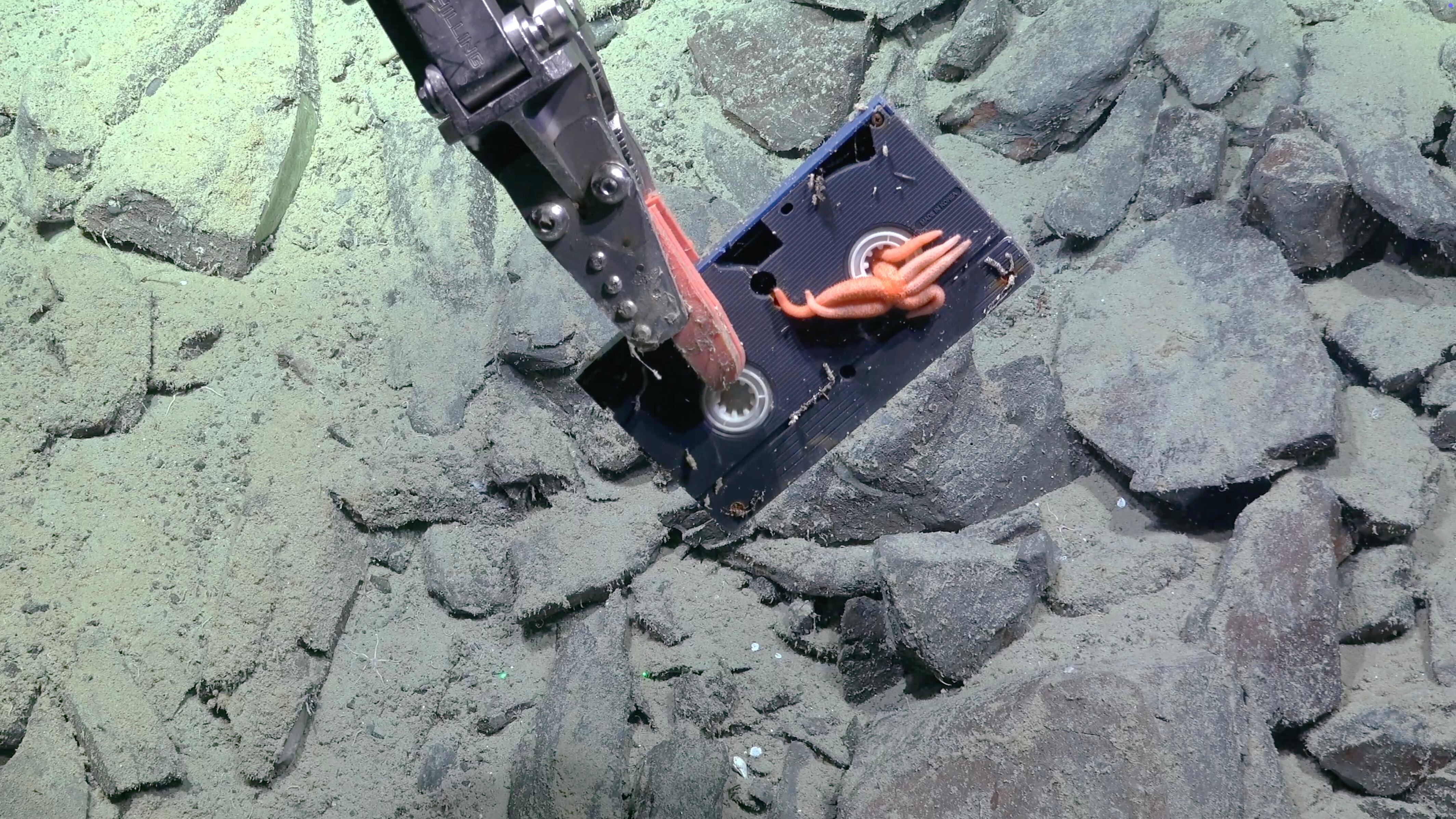 Un tape VHS es recogido desde el fondo del mar con el brazo robótico del rover SuBastian (SOI)