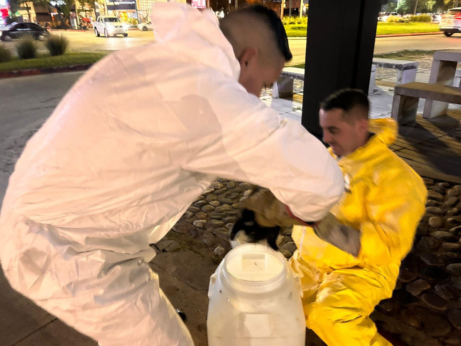 La Patrulla Rural rescató a un zorrino juvenil desorientado en Villa Belgrano y lo liberó en la Reserva Natural La Calera