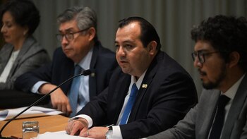 Stuardo Ralón, vicepresidente de la