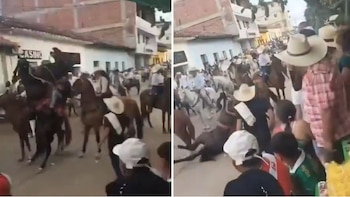 La Alcaldía de Villanueva informó que activó de inmediato la atención veterinaria y señaló que no existe un dictamen oficial sobre la causa exacta de la muerte - crédito Captura video