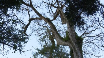 Competencia de titanes: más