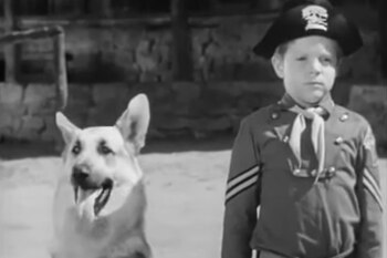 Rin Tin Tin, el célebre