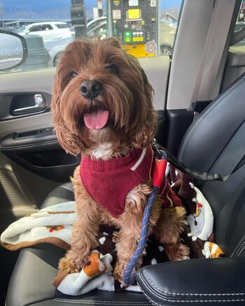 Es muy importante mantener a