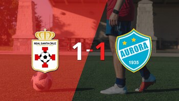 Reparto de puntos en el