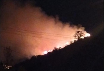 Foto: Alcaldía de Cali