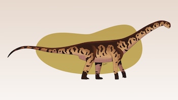 El dinosaurio medía entre 15 y 20 metros de largo y pesaba cerca de 20 toneladas (MEF Chubut)