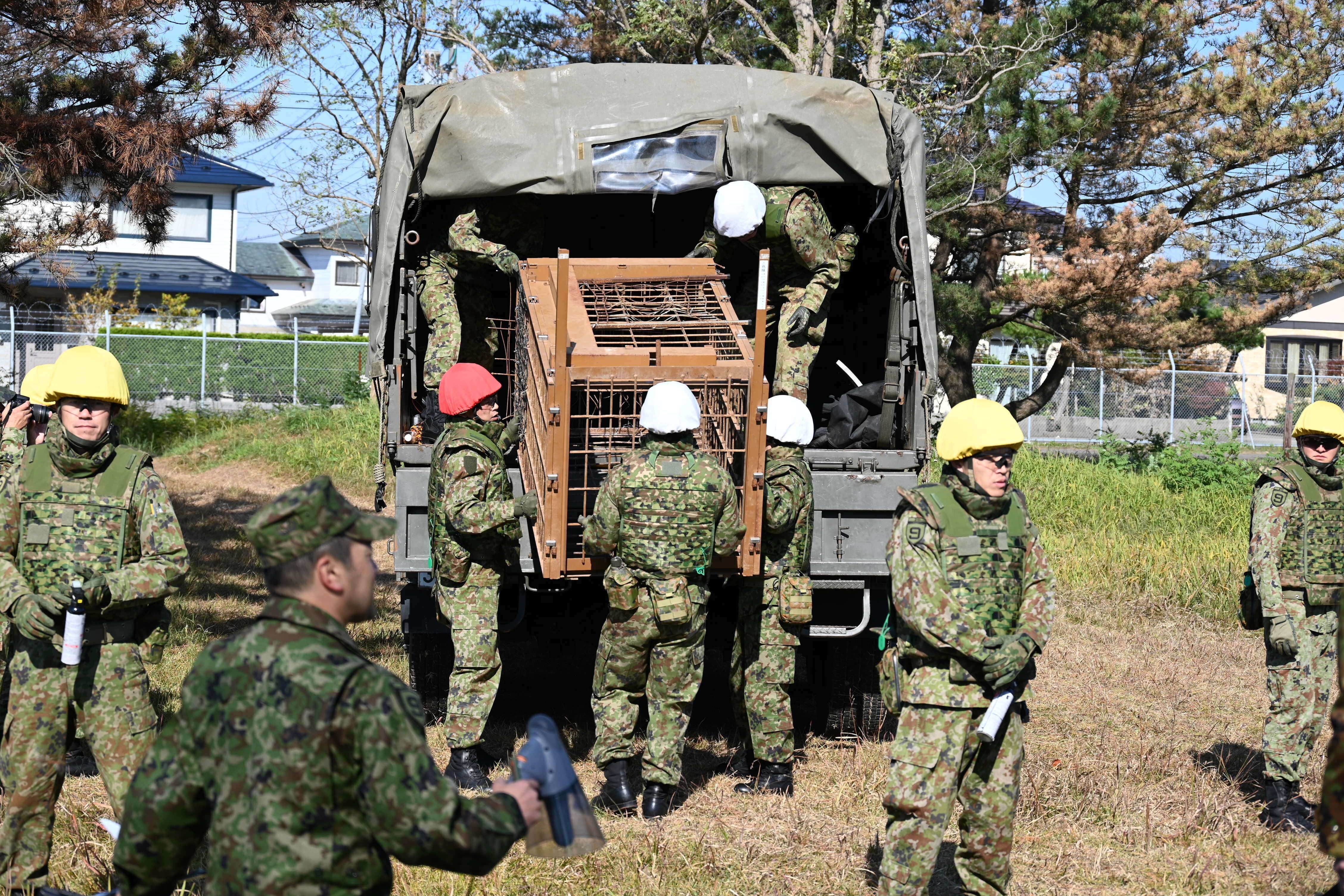 En la imagen, proporcionada por el Campamento de las Fuerzas de Autodefensa de Japón en Akita, personal militar descarga una jaula para osos de un camión en dicho campamento, en Akita, en el norte de Japón, el jueves 30 de octubre de 2025. (Campamento de las Fuerzas de Autodefensa de Japón en Akita vía AP)