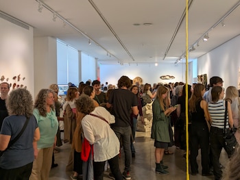 29° Salón Bienal de Arte Textil en el Museo Sívori