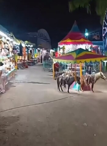 El caso ocurrió en Santa María del Río y ha generado exigencias para que las autoridades intervengan por un posible acto de maltrato animal.