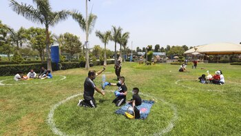 Riesgos y críticas ante la