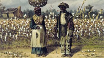 La belleza del día: “Recolectores