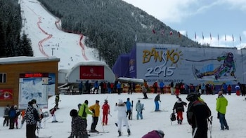 "Big Potential" for Sofia Winter