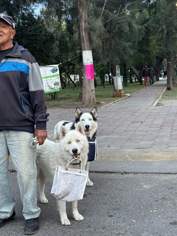 Usuarios publicaron fotos en los