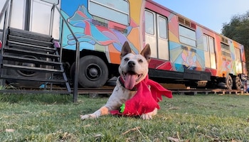 La nueva edición del programa