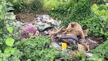 Este es el predio montoso