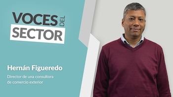Importar no es comprar y esperar en la puerta: el valor del asesoramiento en comercio exterior