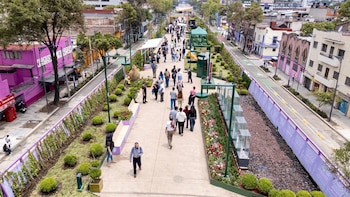 Jardín flotante Tlallipan: ubicación, actividades y quién puede disfrutar el nuevo parque elevado de Calzada de Tlalpan