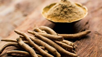 Esta es la planta medicinal