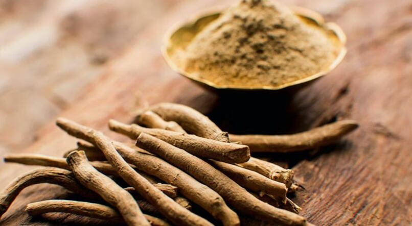 La ashwagandha es una planta medicinal con miles de años de uso en la medicina ayurvédica (Innerbody.com)