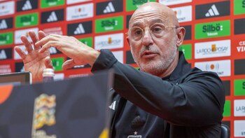 El seleccionador de España, Luis