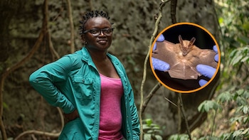 Una mujer consigue proteger a un animal asociado con la brujería en Nigeria con campañas de prevención de incendios forestales: “Era un problema de la comunidad; ese fue el gancho”