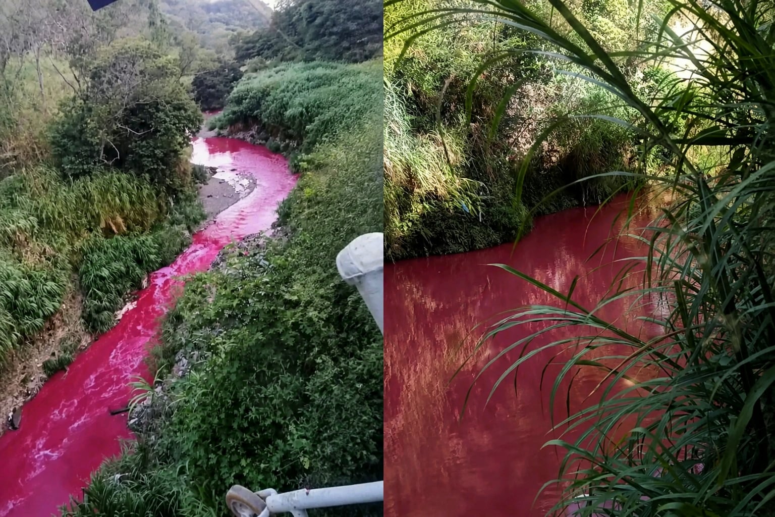 El río Las Vacas apareció con una coloración roja en sectores de la Ciudad de Guatemala y el MARN amplió las inspecciones ambientales. (Imagen Ilustrativa Infobae)