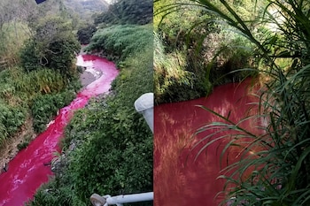 Dos imágenes contiguas de un cauce de agua teñido de color rojo brillante y rojo oscuro entre vegetación verde.