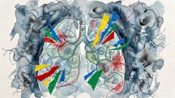 Estudio en animales vincula la inhalación de microplásticos con daño pulmonar persistente