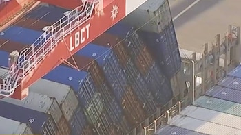 La llegada de más de