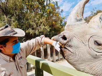 No existe evidencia científica que