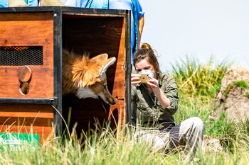 La investigación y el monitoreo