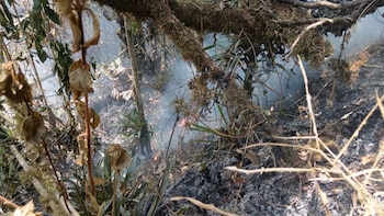 Alerta en Valle del Cauca por calor de 36,4 grados: aumenta riesgo de incendios forestales