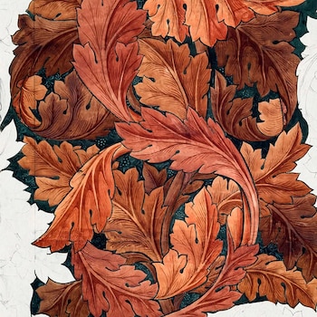 Acanthus,William Morris, tinta y lápiz