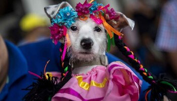 Imagen de archivo referencial. -