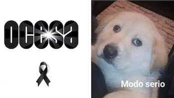 Ocesa hizo una misteriosa publicación