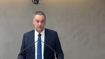 Adorni volvió a pedir disculpas