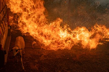 Incendios en Turquía