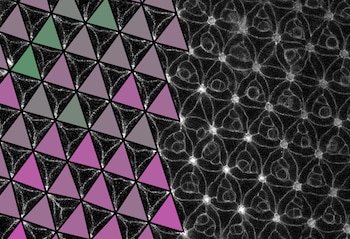 En el estadio de pupa, las células que forman la retina de Drosophila forman una malla triangular (Universidad de Sevilla)