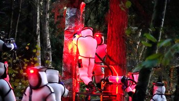 Descubrieron por primera vez un